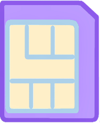 SIM Card Micro SIM