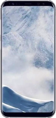 Samsung Galaxy S8 Plus (64GB Arctic Silver)