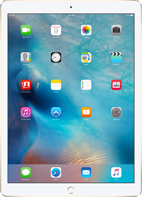 Apple iPad (2017) (32GB Gold)