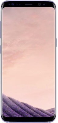 Samsung Galaxy S8 Plus (64GB Orchid Grey)