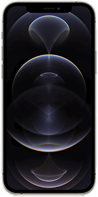 Apple Iphone 12 Pro 5g 256gb Graphite For Â£1099 Sim Free