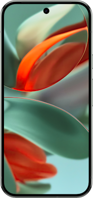 Google Pixel 9 Pro 128GB in Grey