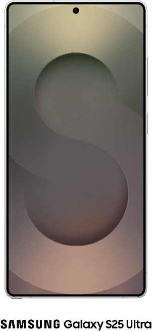 Samsung Galaxy S25 Ultra 256GB in Silver