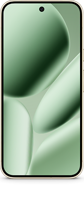 Google Pixel 10 Pro XL 256GB in Green