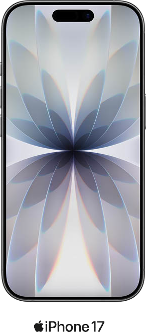 Apple iPhone 17 256GB in Black