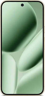 Google Pixel 10 Pro XL 256GB in Green