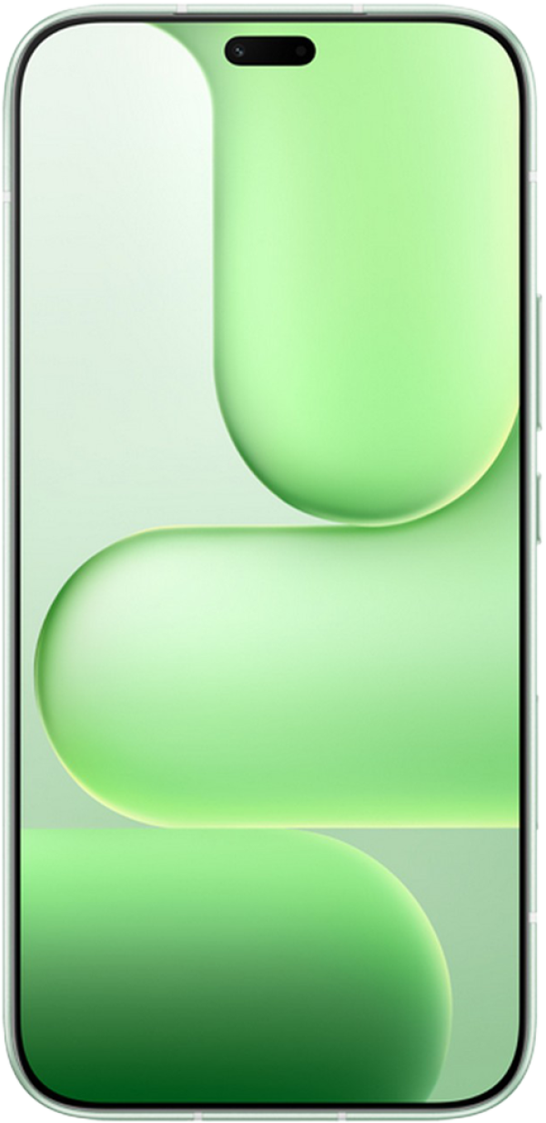HONOR 600 Lite 256GB in Green